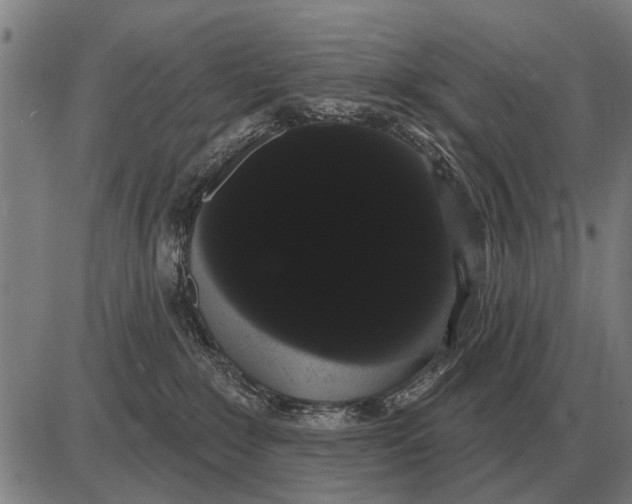 X0000085040235200703261320