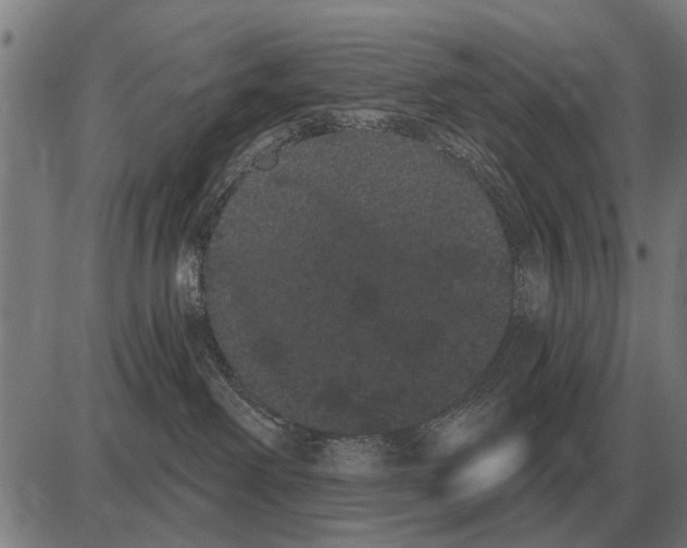 X0000085040238200703261320
