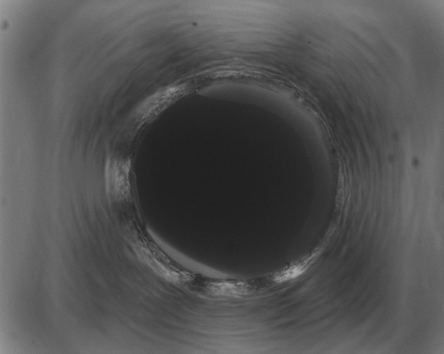 X0000085040239200703261320