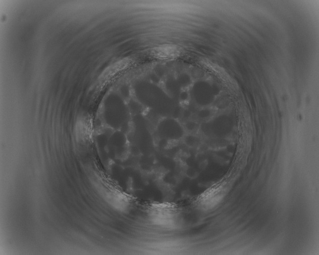 X0000085040240200703261320
