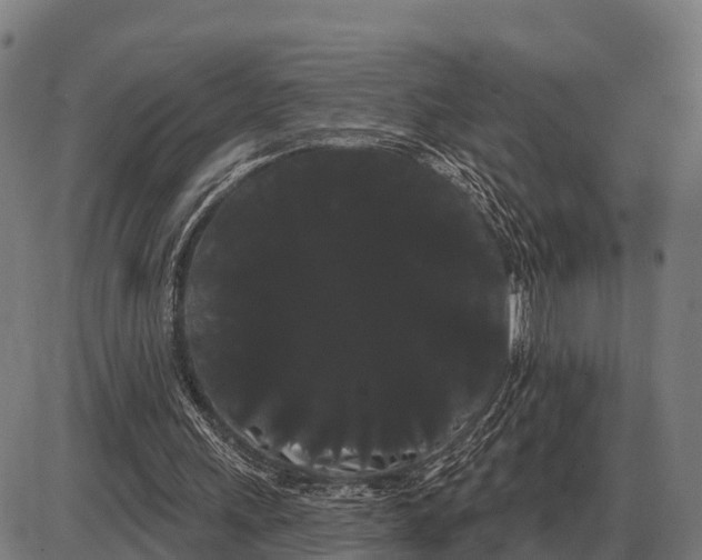 X0000085040243200703261319