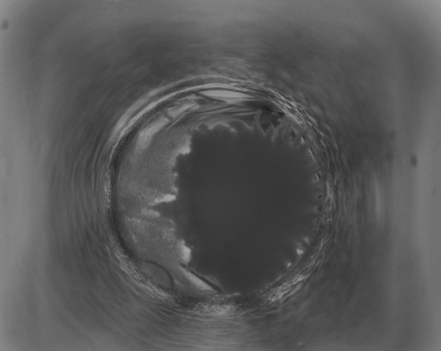 X0000085040247200703261319