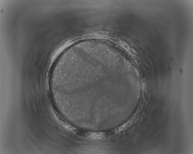 X0000085040248200703261319