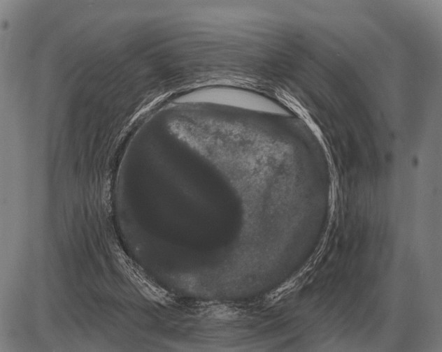 X0000085040249200703261319