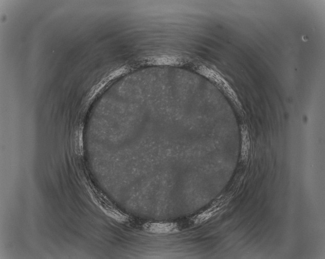 X0000085040251200703261319