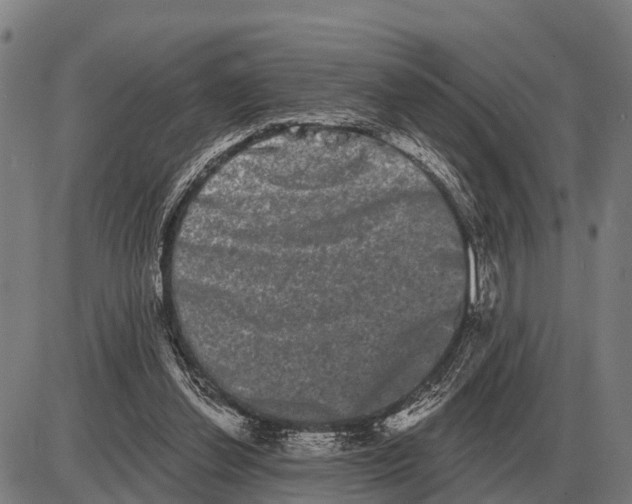 X0000085040252200703261319