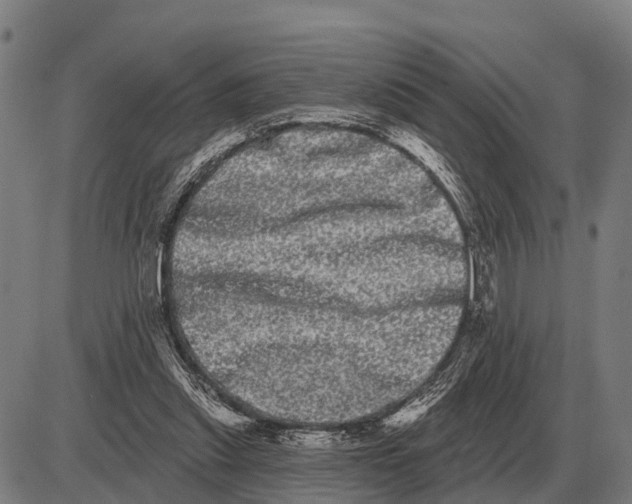 X0000085040253200703261319