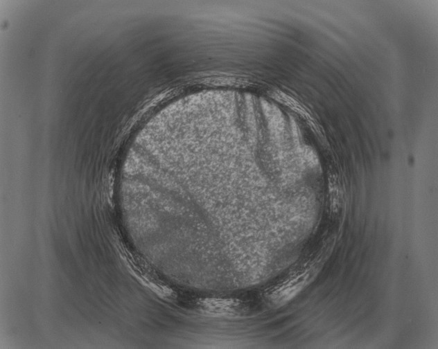 X0000085040255200703261319