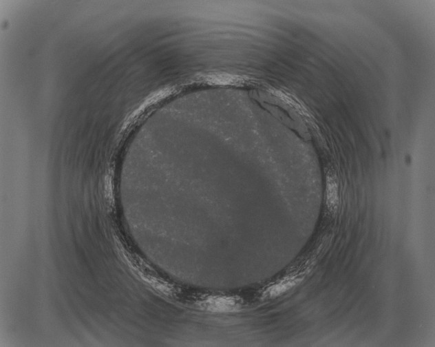 X0000085040256200703261319