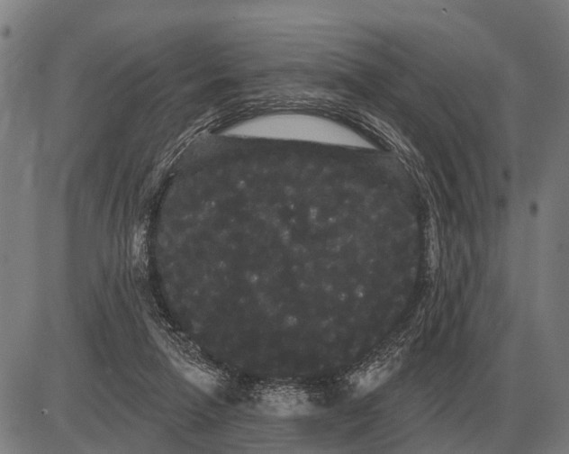 X0000085040258200703261319