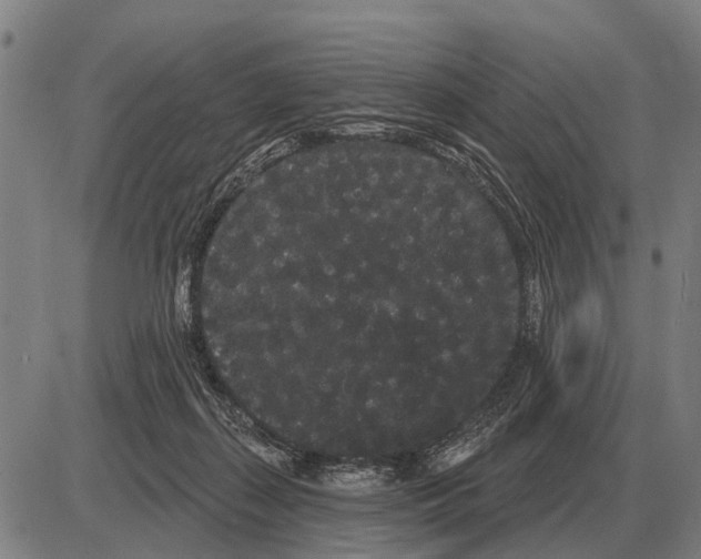 X0000085040267200703261319