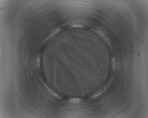 X0000085040269200703261319