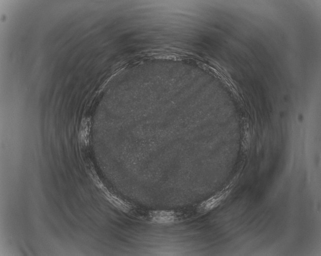 X0000085040273200703261320