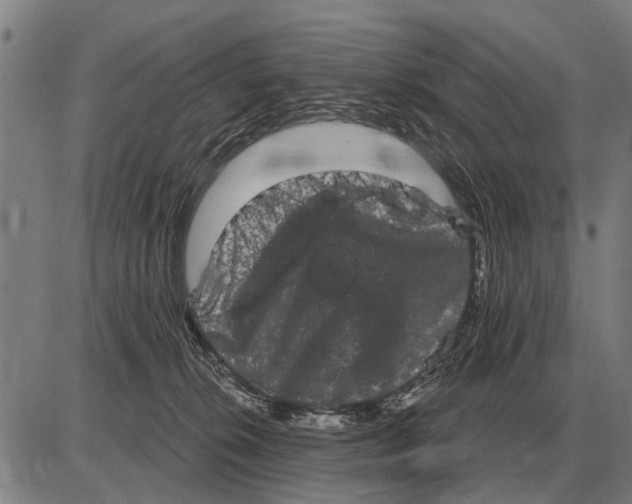 X0000085040276200703261320