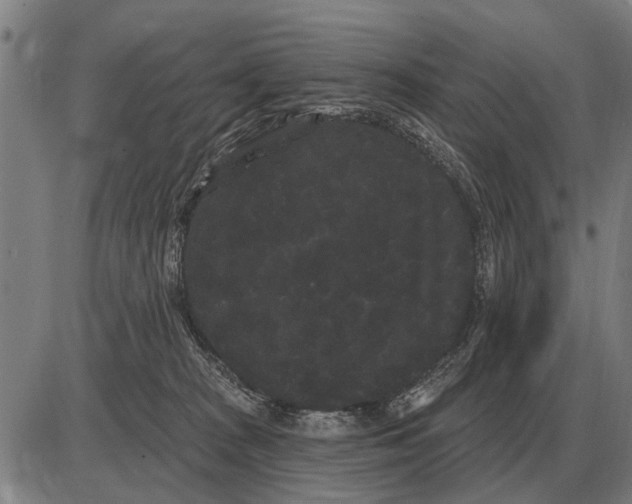 X0000085040277200703261320