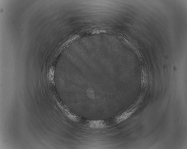X0000085040281200703261320