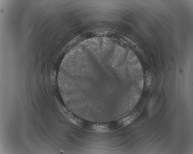 X0000085040283200703261320