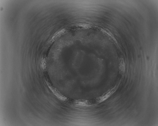 X0000085040285200703261320