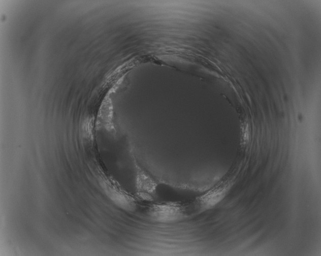 X0000085040286200703261320