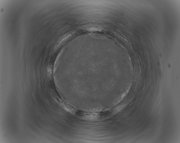 X0000085040288200703261320