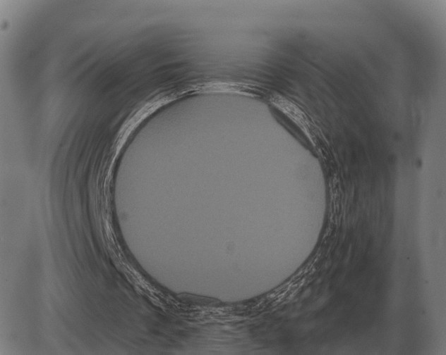 X0000085040289200703261319