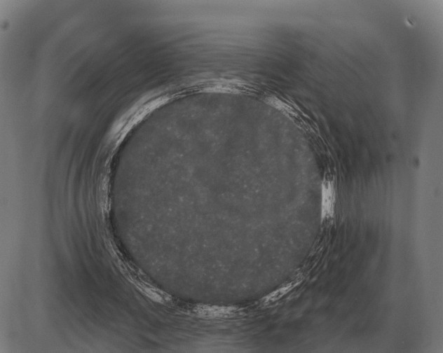 X0000085040291200703261319