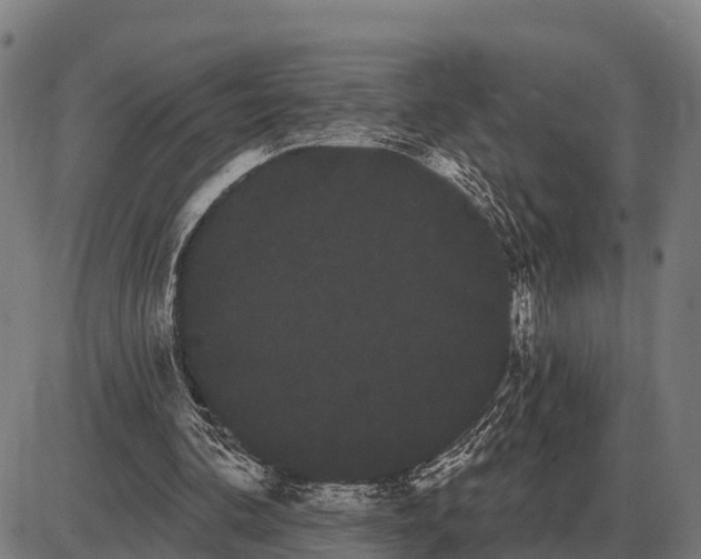 X0000085040292200703261319