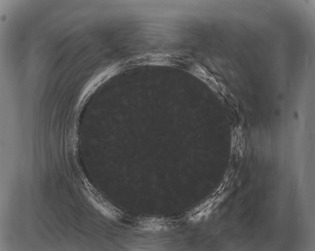 X0000085040293200703261319