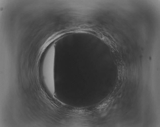 X0000085040295200703261319