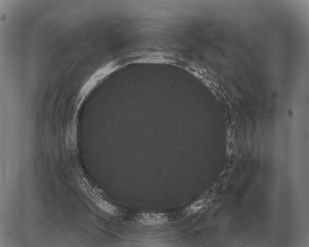 X0000085040296200703261319