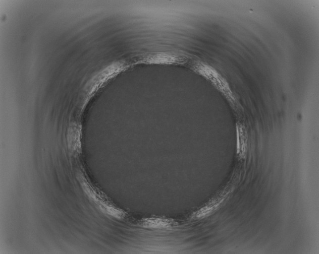 X0000085040300200703261319