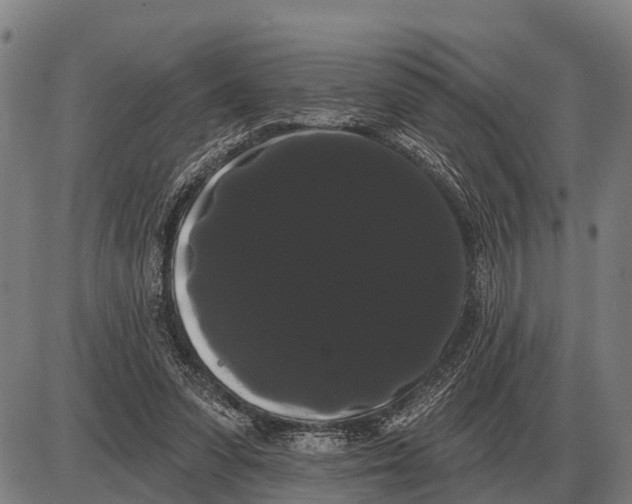 X0000085040303200703261319