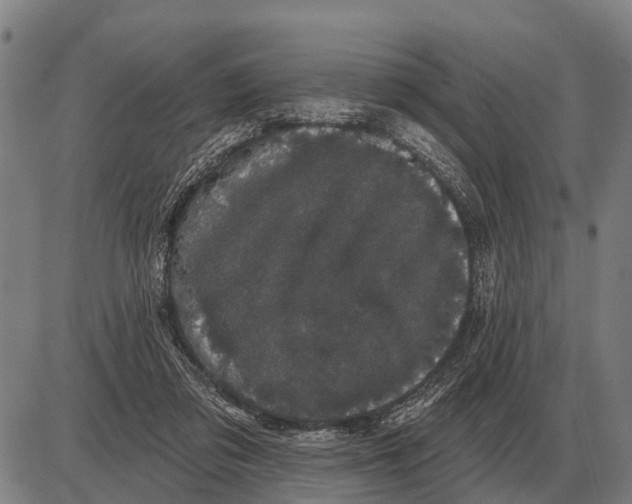 X0000085040309200703261319