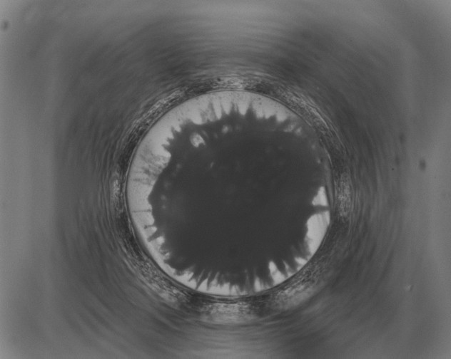 X0000085040314200703261319