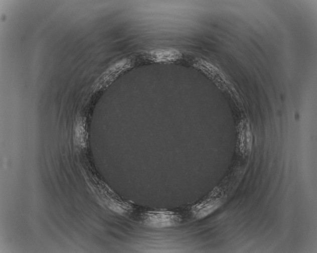 X0000085040316200703261319