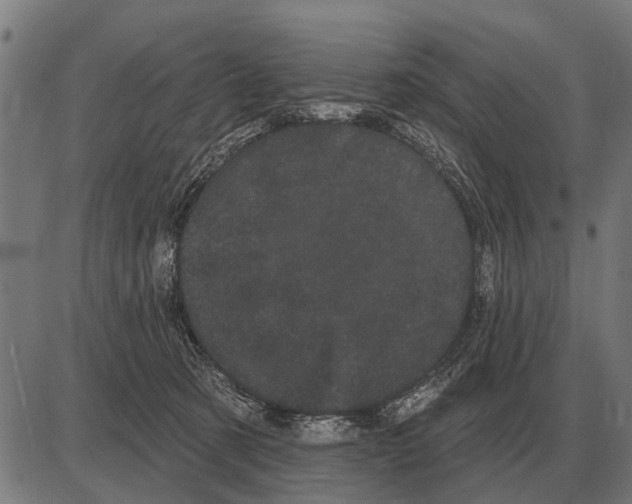 X0000085040321200703261318