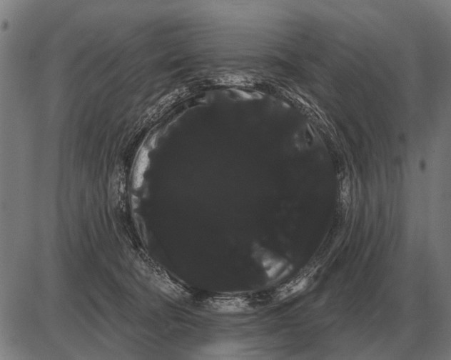X0000085040322200703261318