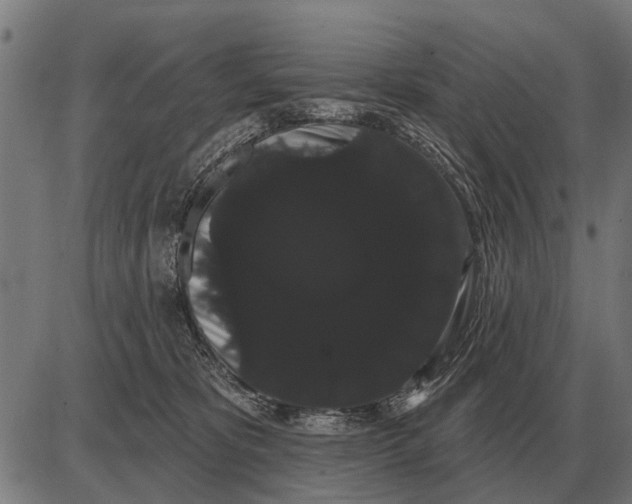 X0000085040325200703261318
