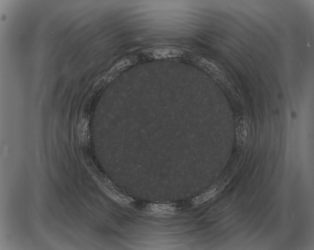 X0000085040327200703261318