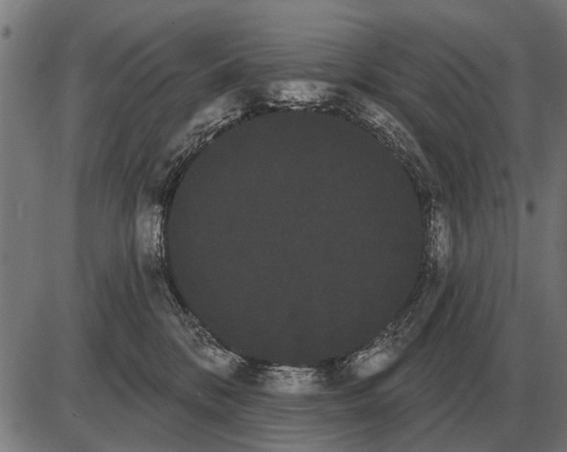 X0000085040328200703261318