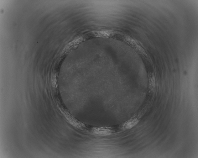 X0000085040331200703261318