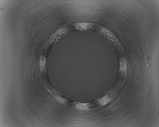 X0000085040332200703261318