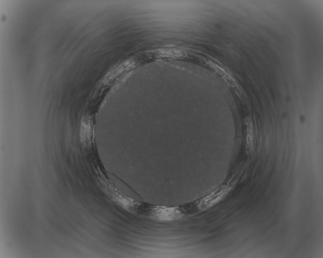X0000085040333200703261318