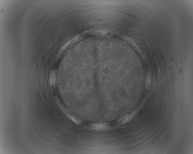 X0000085040335200703261318
