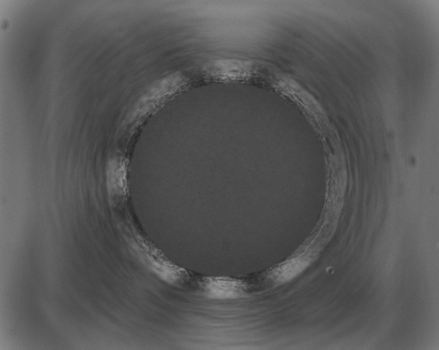 X0000085040336200703261318