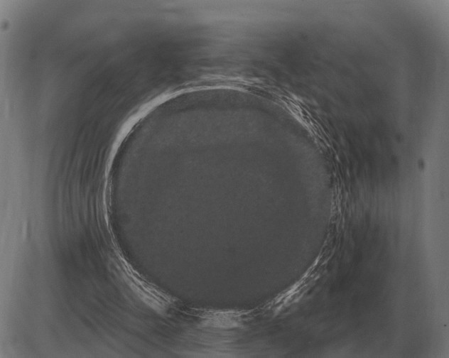 X0000085040342200703261317