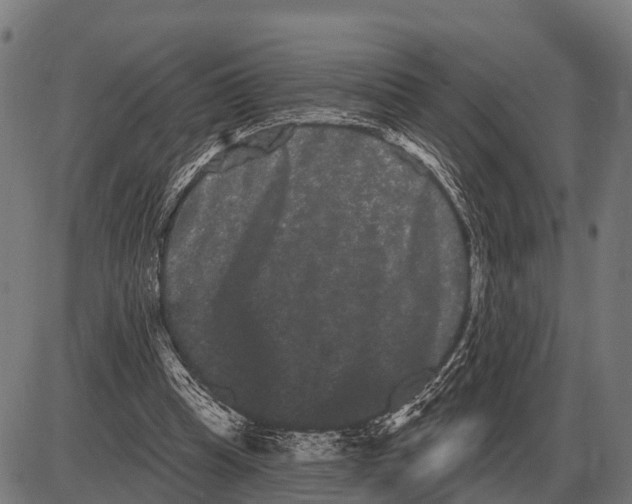 X0000085040345200703261318