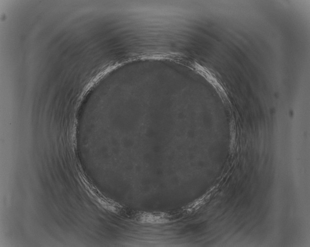 X0000085040346200703261318