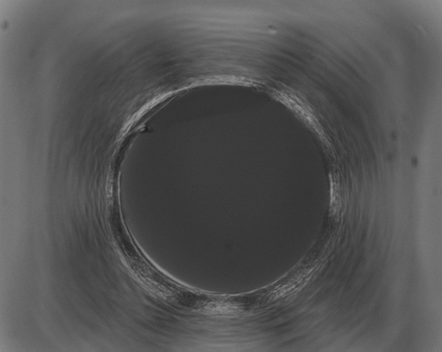 X0000085040348200703261318