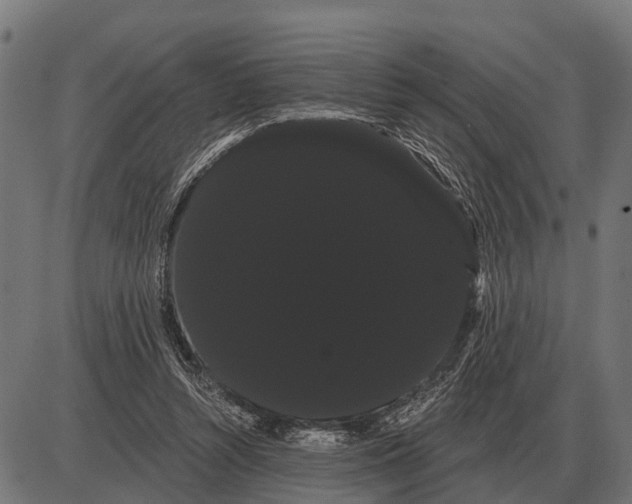 X0000085040352200703261318